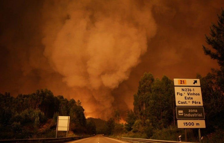 Πορτογαλία: 91 συλλήψεις υπόπτων για εμπρησμούς μέσα στο 2017!
